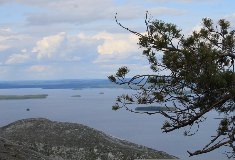 Järvimaisema.